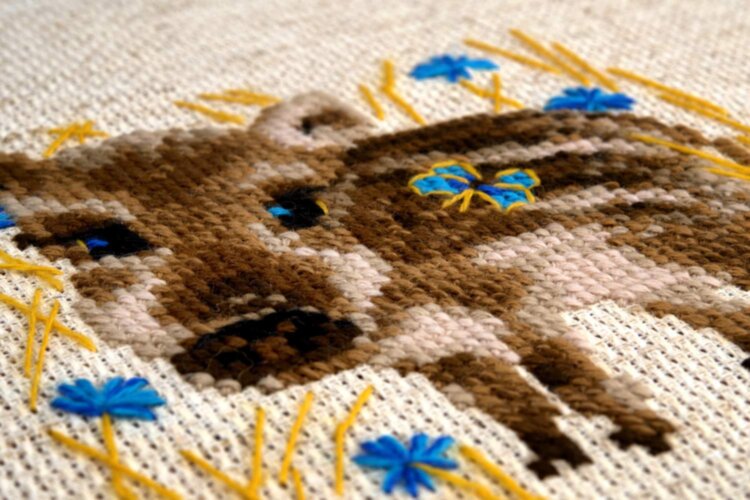 №1756 Маленький кабанчик