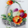 06.002.03 Весенние тюльпаны