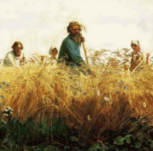 Косцы (схема)