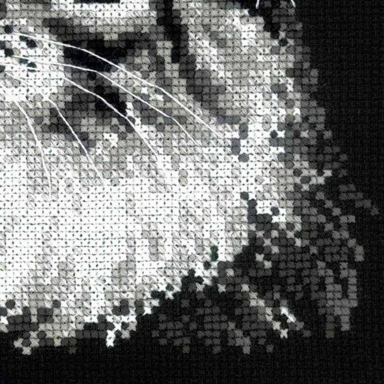 №1599 Мейн-кун