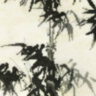 03.018.03 Бамбук