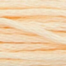 Anchor 1009
