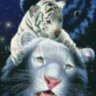 White Tiger Magic (схема)