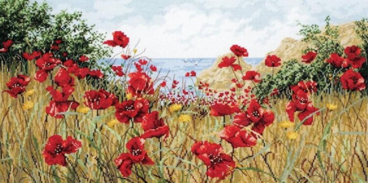 APC940 Clifftop Poppies