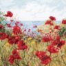APC940 Clifftop Poppies