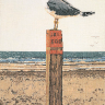 1062 Seagull Чайка