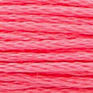 Anchor 31