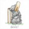 TT207 Cricket