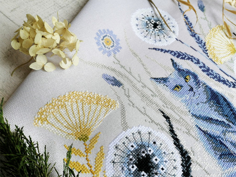 03.017.08 Кошки