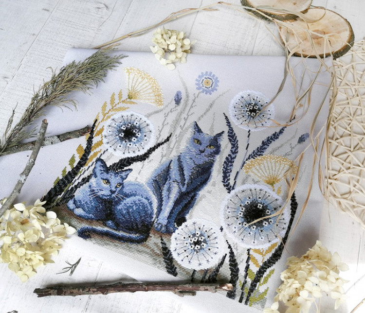 03.017.08 Кошки