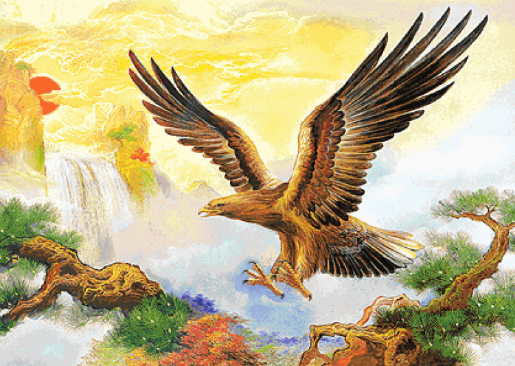 CX-EV-OTH13 Орёл